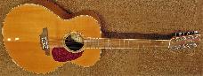 Alvarez AJ60S-12