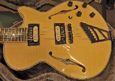 D'Angelico Excel SS Fabrizzio Sotti Signature Limited No11 van 20