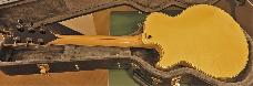 D'Angelico Excel SS Fabrizzio Sotti Signature Limited No11 van 20