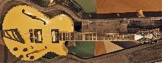 D'Angelico Excel SS Fabrizzio Sotti Signature Limited No11 van 20