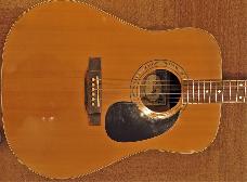 Dutch W180 acoustic