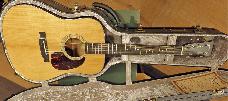 Eastman E10D TC incl koffer