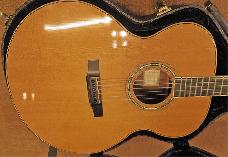 LArrivee J09 incl Fishman Matrix, koffer