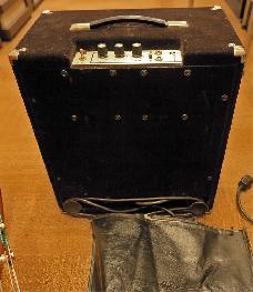 Polytone Mini Brute III incl hoes