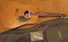 Seagull S6 Mahogany met Dearmond pickup