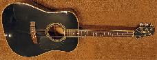 Takamine F341