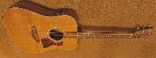 Taylor 410E