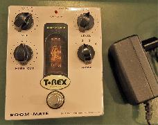 T Rex Room Mate V1